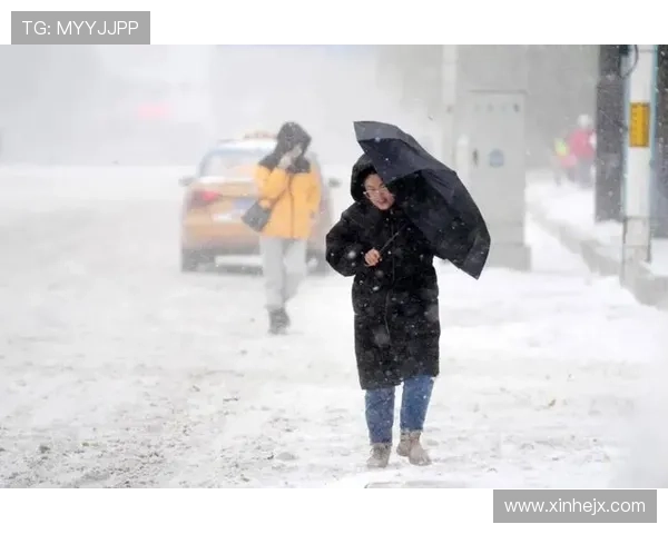 降雪大风致女子U型决赛延期